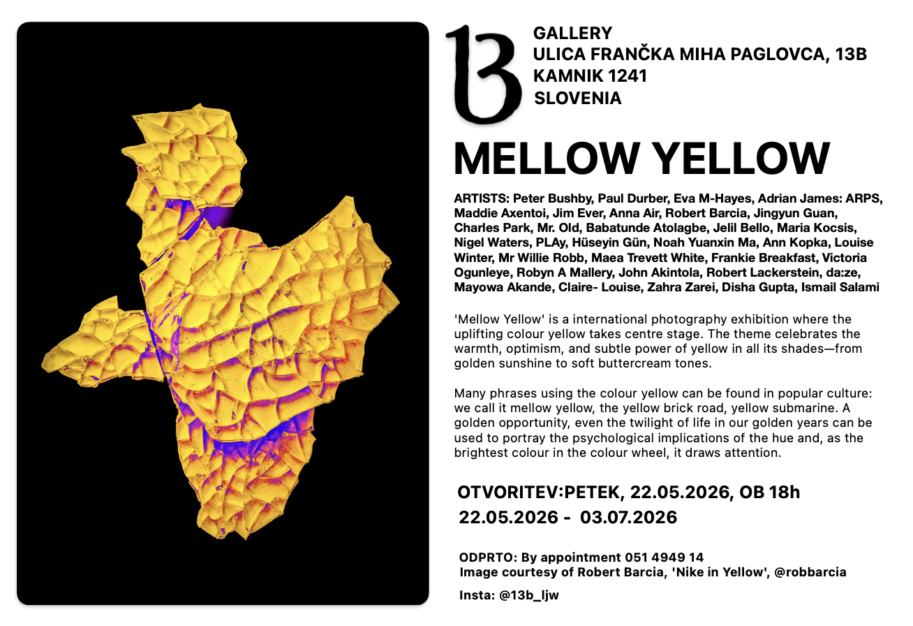 13B Gallery exhibition image 2