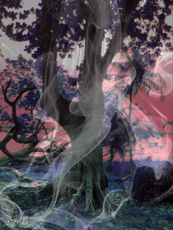 Between Roots and Reflection by Jelil Adebayo Bello
