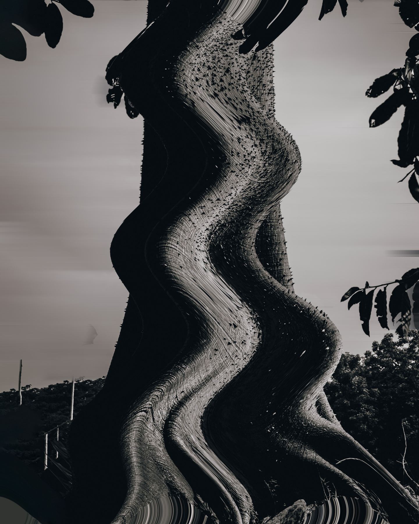 Bloom by Jelil Adebayo Bello