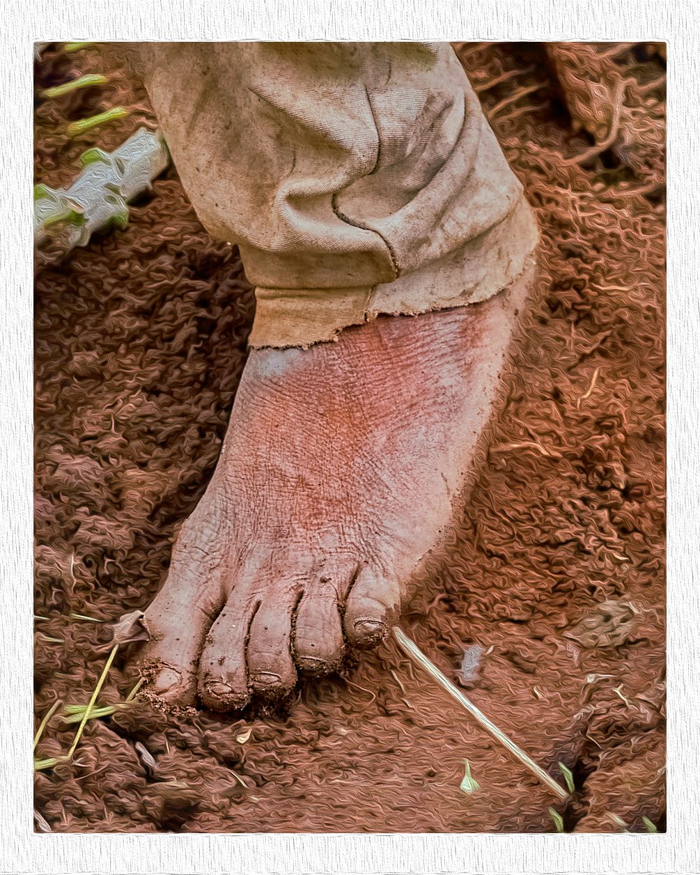 Empty Harvest by Jelil Adebayo Bello